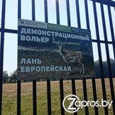 Слуцкий лесхоз11923